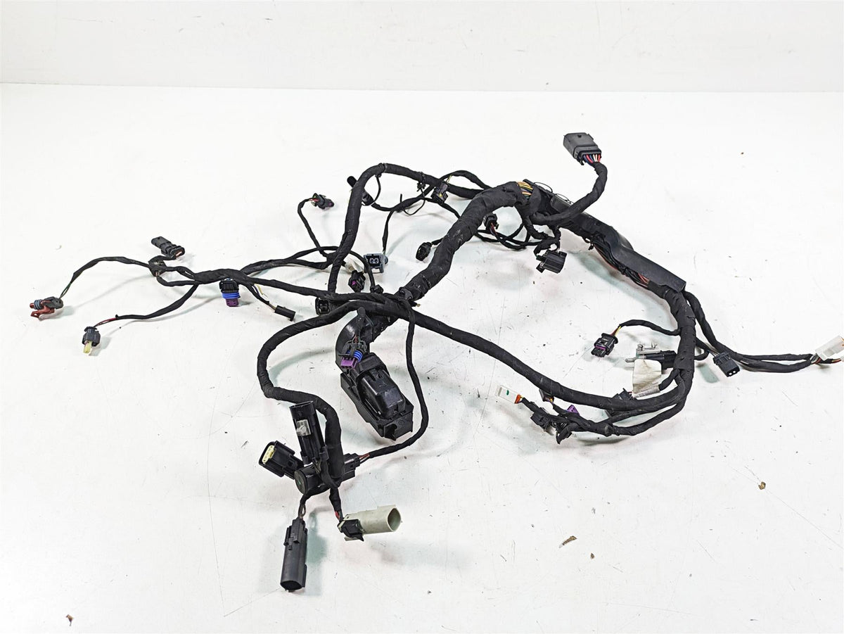 2022 Harley RA1250 S Pan America Engine Wiring Harness Loom - No Cuts 69201899A {{ shop.shopifyCountryName }} - Mototech271