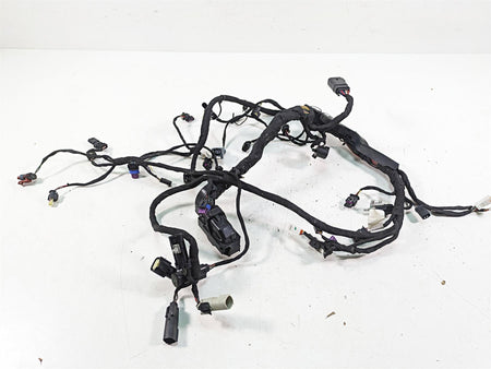 2022 Harley RA1250 S Pan America Engine Wiring Harness Loom - No Cuts 69201899A {{ shop.shopifyCountryName }} - Mototech271