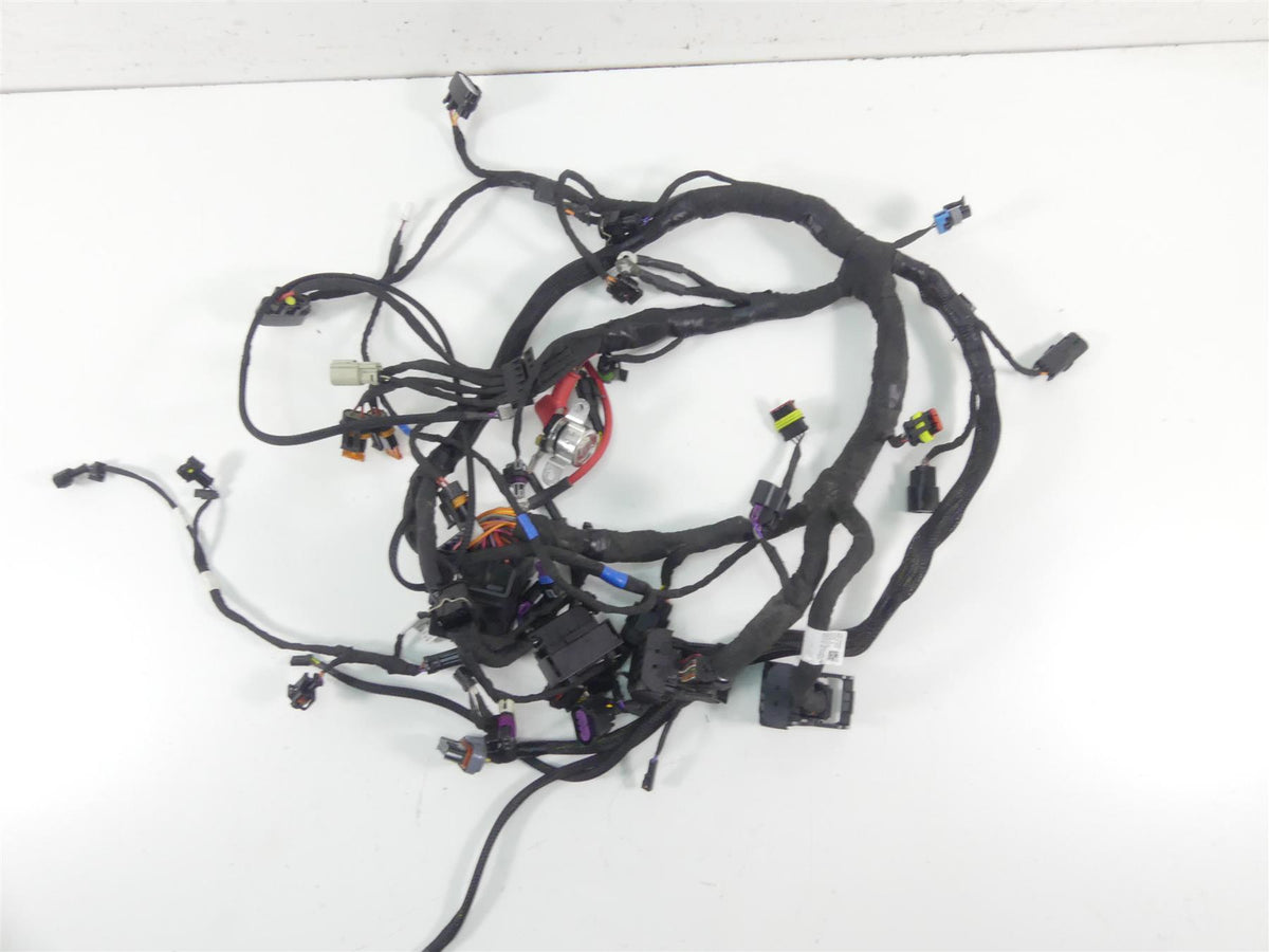 2022 Indian FTR1200 S Main Wiring Harness Loom - No Cuts 2415580 2415446 {{ shop.shopifyCountryName }} - Mototech271