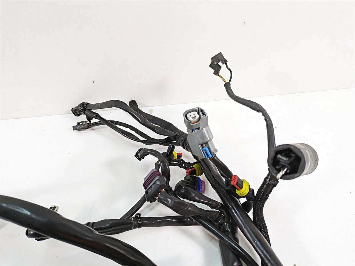 2009 Harley Dyna FXDFSE CVO Fat Bob Main Wiring Harness Loom - Read 70184-09 {{ shop.shopifyCountryName }} - Mototech271
