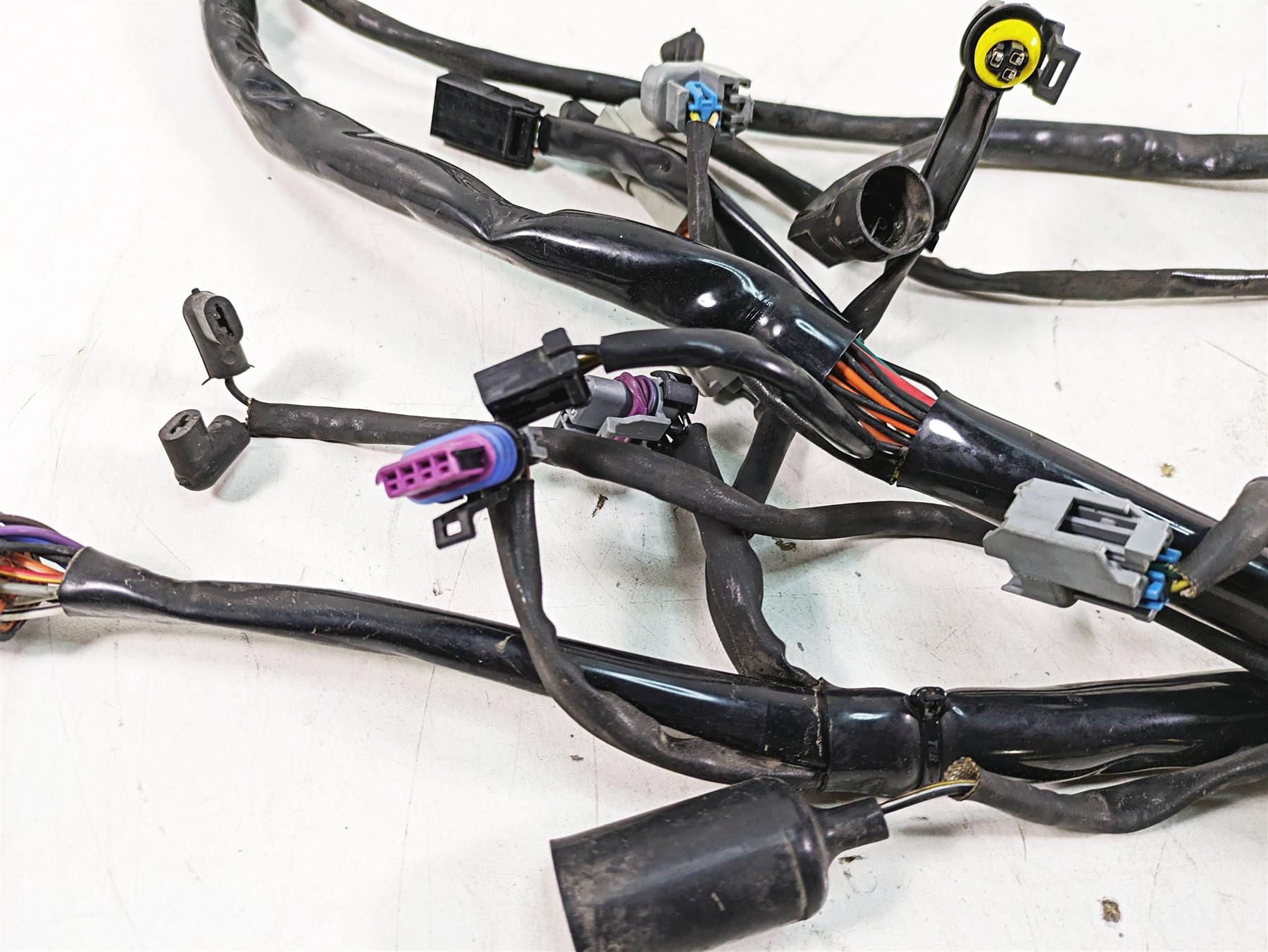 2006 Harley FLSTI Softail Heritage Main Wiring Harness Loom - Read 70431-06 {{ shop.shopifyCountryName }} - Mototech271