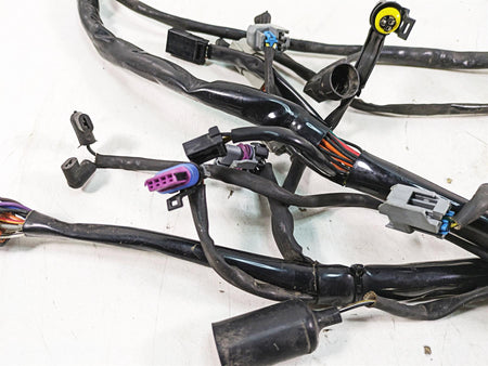 2006 Harley FLSTI Softail Heritage Main Wiring Harness Loom - Read 70431-06 {{ shop.shopifyCountryName }} - Mototech271