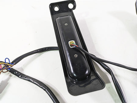 2017 Harley Touring FLHTKSE CVO E-Glide Rear Filler Blinker Light Set - Read {{ shop.shopifyCountryName }} - Mototech271