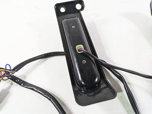 2017 Harley Touring FLHTKSE CVO E-Glide Rear Filler Blinker Light Set - Read