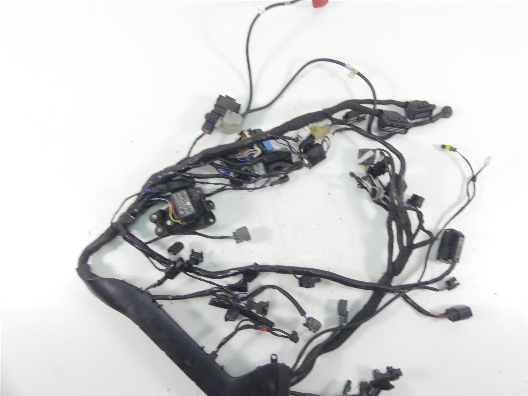 2017 Triumph Thruxton 1200 R Main Wiring Harness Loom Abs - No Cuts T2501016 {{ shop.shopifyCountryName }} - Mototech271