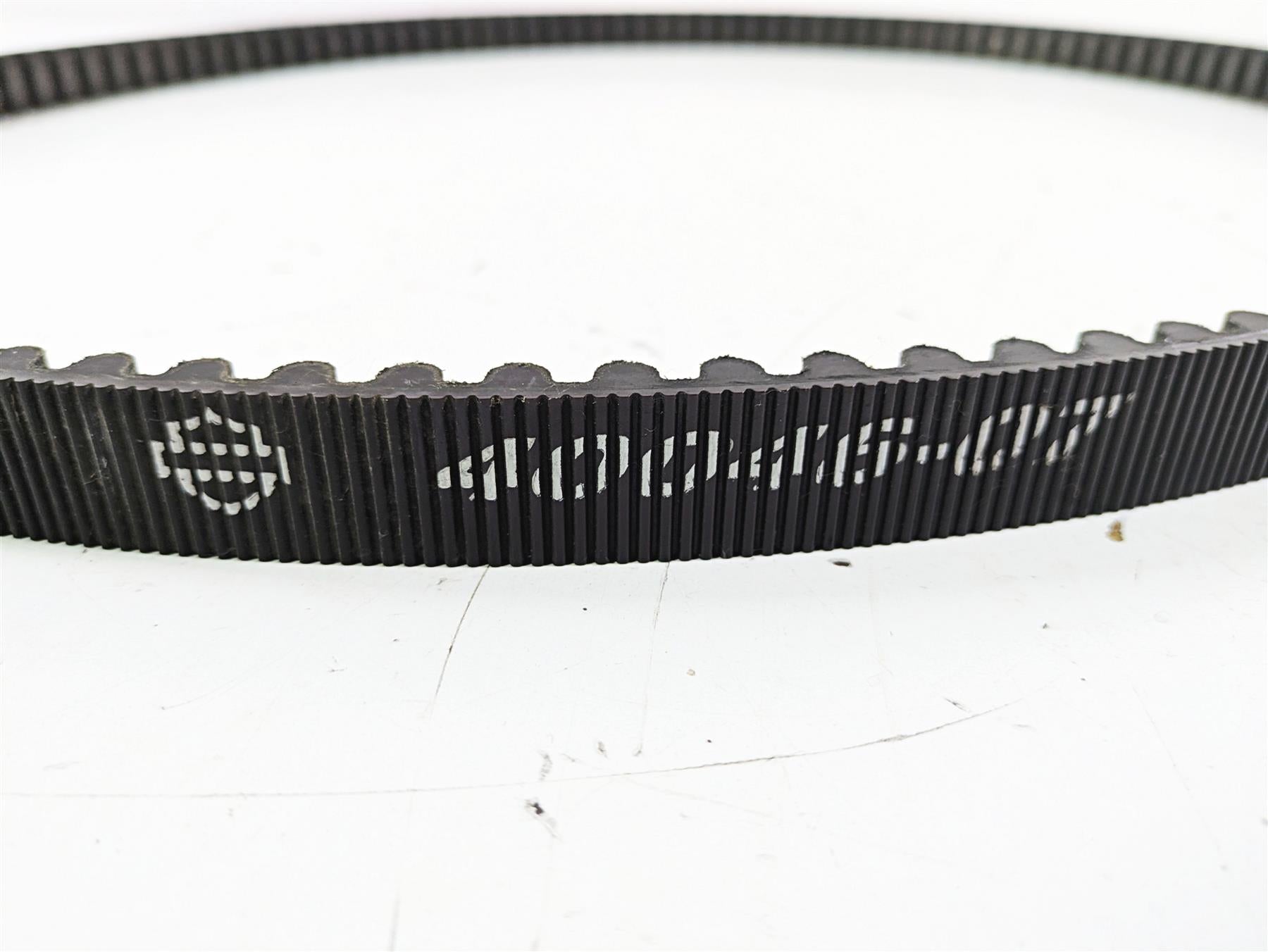 2007 Harley FXDWG Dyna Wide Glide Main Drive Belt 131T 1" 40046-07 {{ shop.shopifyCountryName }} - Mototech271
