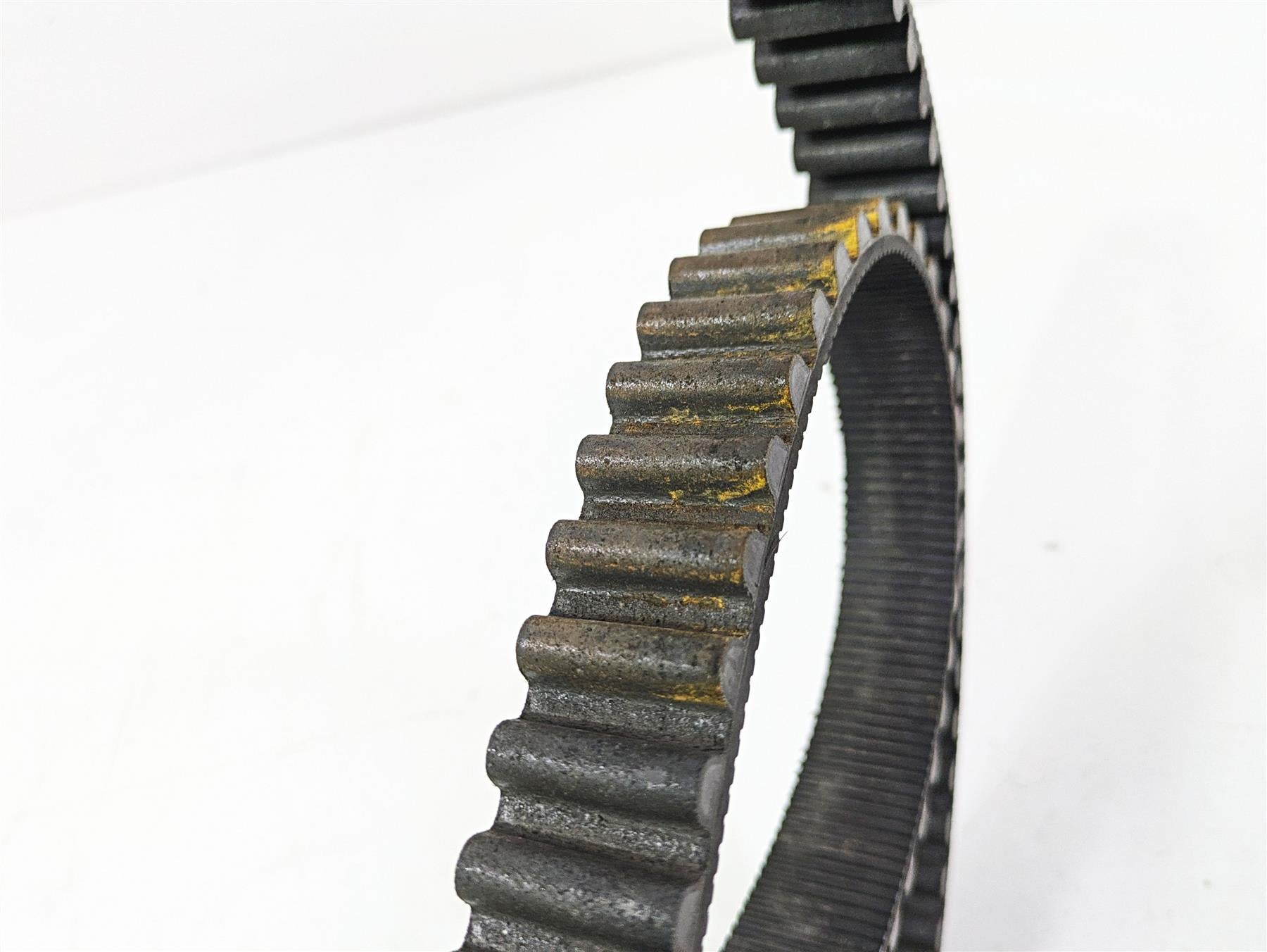2004 Harley Softail FLSTF Fat Boy Rear Drive Belt 135T 1 1/8" 40307-00B {{ shop.shopifyCountryName }} - Mototech271