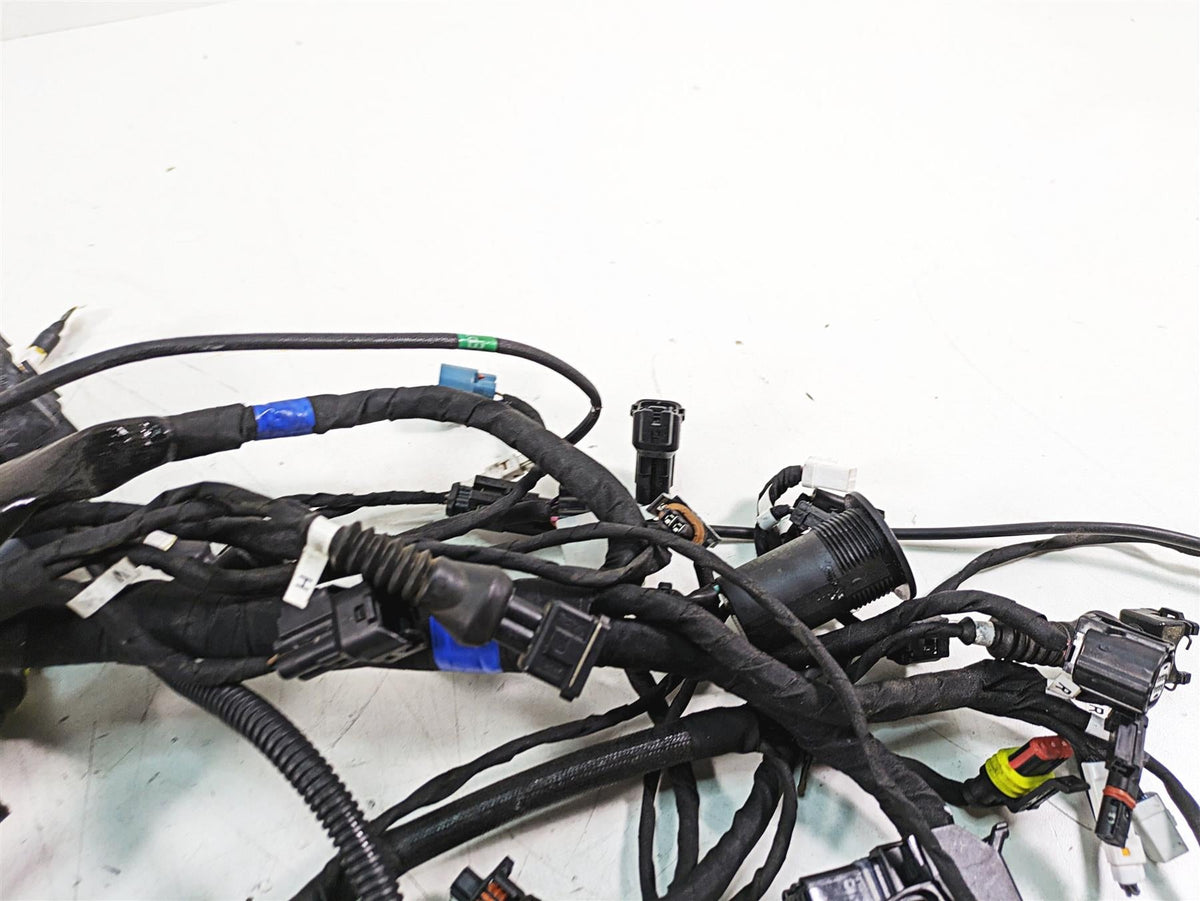 2020 Ducati Scrambler 1100 Sport Pro Wiring Harness Loom -No Cuts 5101F841E {{ shop.shopifyCountryName }} - Mototech271