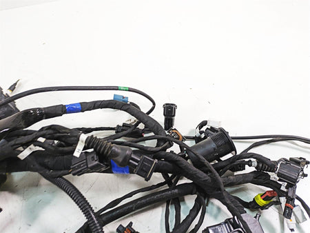 2020 Ducati Scrambler 1100 Sport Pro Wiring Harness Loom -No Cuts 5101F841E {{ shop.shopifyCountryName }} - Mototech271