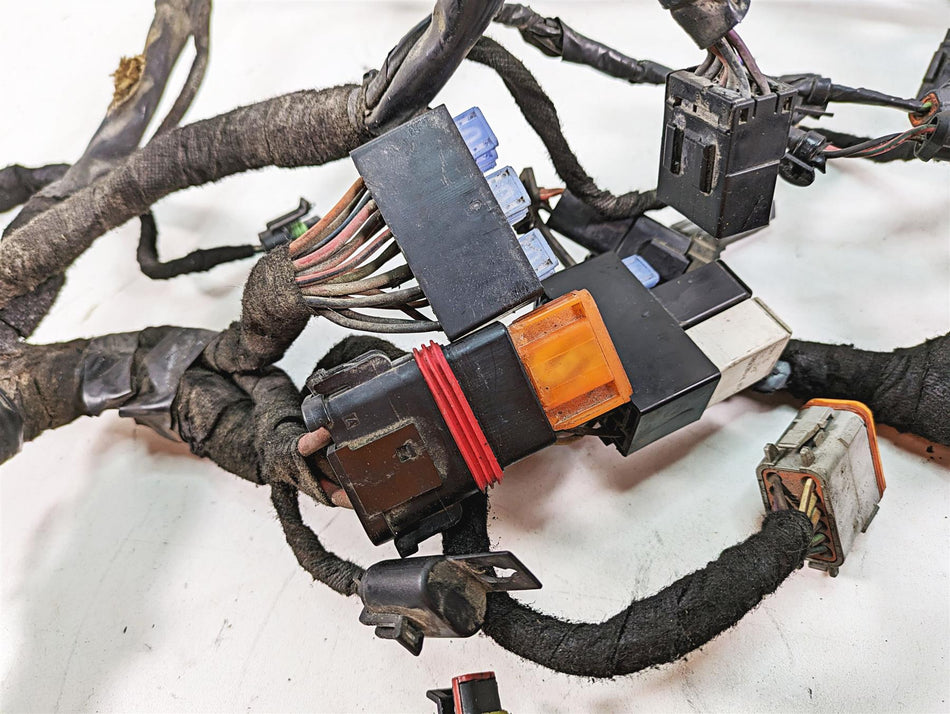 2009 Harley FXDC Dyna Super Glide Custom Wiring Harness Loom 69603-08A {{ shop.shopifyCountryName }} - Mototech271