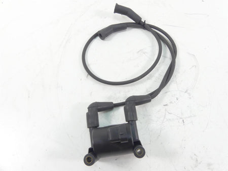 2011 Harley Touring FLTRU Road Glide Delphi Ignition Coil Wires Plugs 31696-07A {{ shop.shopifyCountryName }} - Mototech271