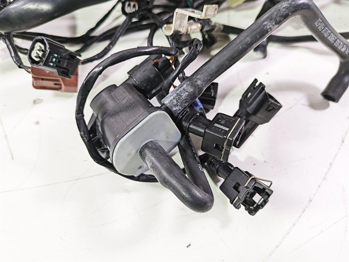 2019 Triumph Speed Triple RS 1050 Wiring Harness Loom -No Cuts T2502526 {{ shop.shopifyCountryName }} - Mototech271