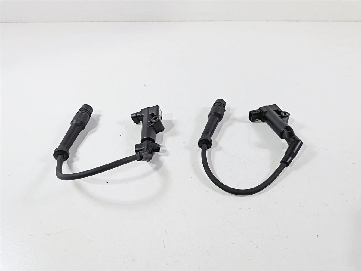2020 Indian Challenger Limited Oem Delphi Ignition Coil Set 4015300-Mototech271