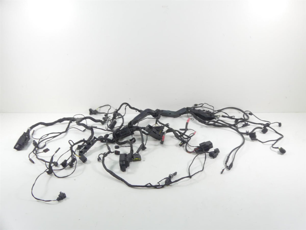 2014 BMW R1200GS K50 Main & Engine Wiring Harness Esa 61118549371 12518544470 {{ shop.shopifyCountryName }} - Mototech271