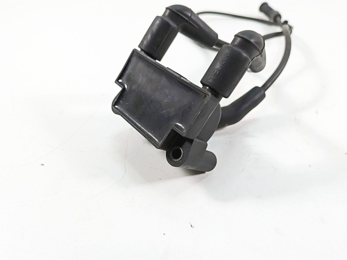 2011 Harley Touring FLTRU Road Glide Delphi Ignition Coil Wires Plugs 31696-07A {{ shop.shopifyCountryName }} - Mototech271