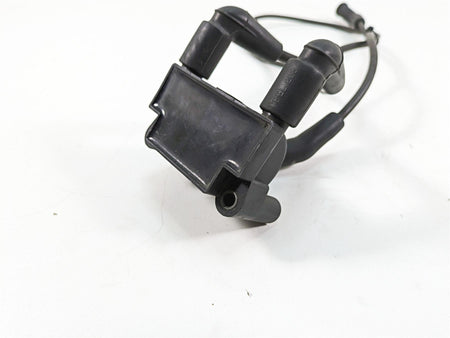 2011 Harley Touring FLTRU Road Glide Delphi Ignition Coil Wires Plugs 31696-07A {{ shop.shopifyCountryName }} - Mototech271