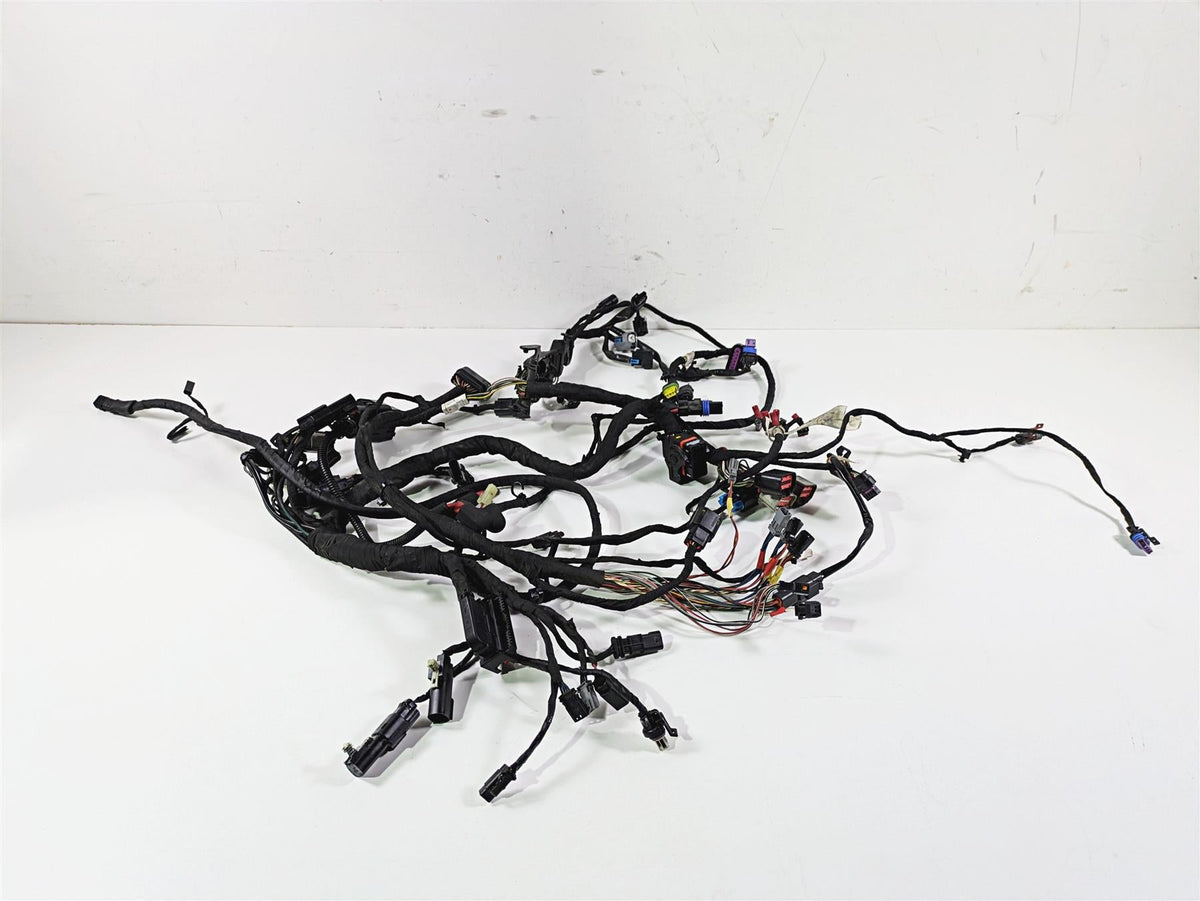 2019 Harley Softail FXDR 114 Wiring Harness Loom READ 69201492 {{ shop.shopifyCountryName }} - Mototech271