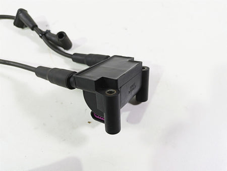 2016 Harley FXDL Dyna Low Rider Delphi Ignition Coil Wires Plugs 31696-07A {{ shop.shopifyCountryName }} - Mototech271