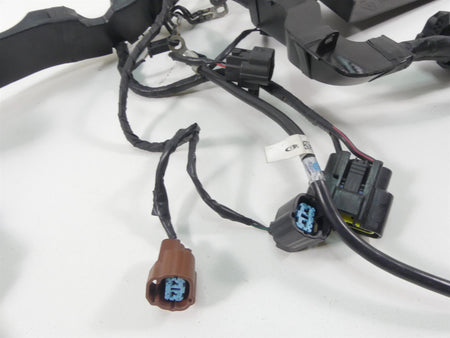 2013 Triumph Street Triple 675R Wiring Harness Abs Version - No Cuts T2508065 {{ shop.shopifyCountryName }} - Mototech271