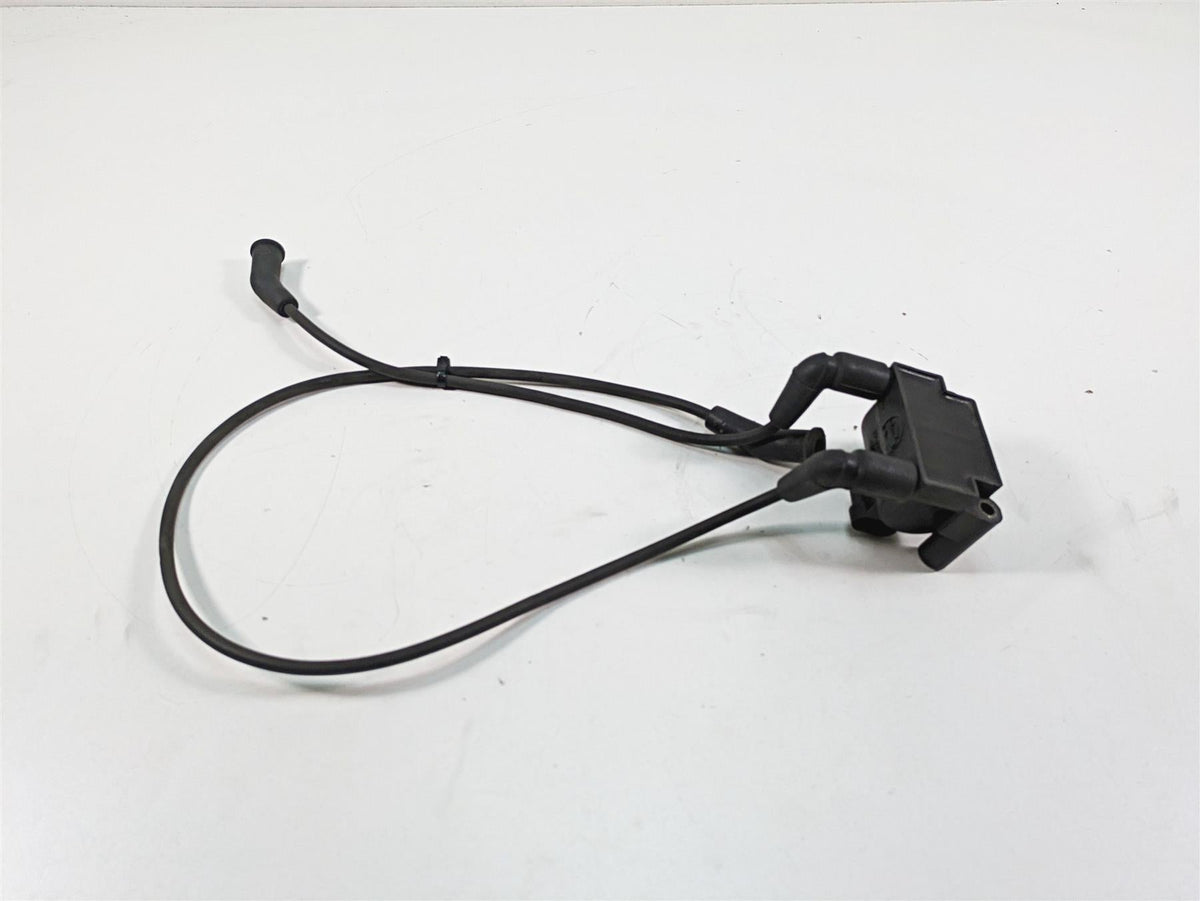 2011 Harley Touring FLTRU Road Glide Delphi Ignition Coil Wires Plugs 31696-07A {{ shop.shopifyCountryName }} - Mototech271