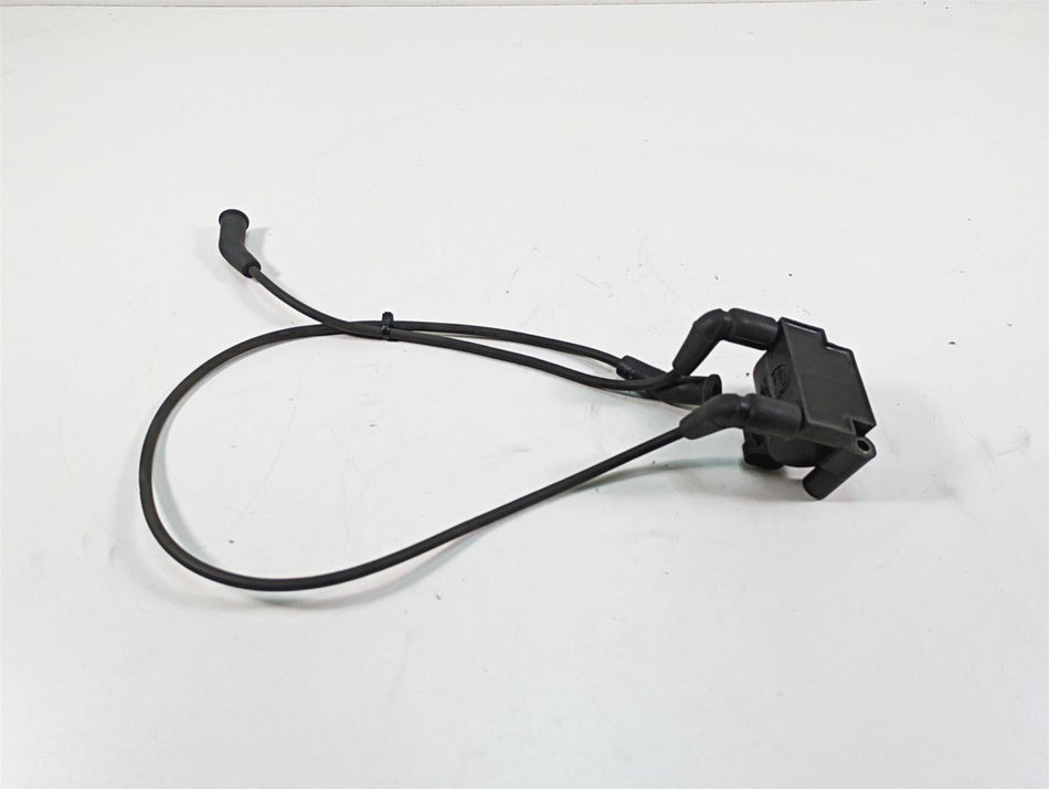 2011 Harley Touring FLTRU Road Glide Delphi Ignition Coil Wires Plugs 31696-07A {{ shop.shopifyCountryName }} - Mototech271