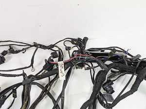2015 BMW R1200 GS Adv K51 Main & Engine Wiring Harness Esa Heat Read 61118549371