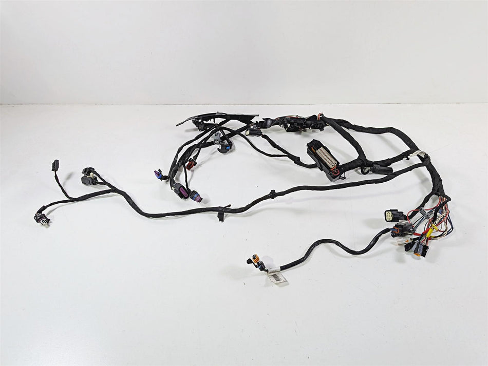 2024 Harley FXLRS Dyna Low Rider Back Bone Wiring Harness Loom - Read 69201655