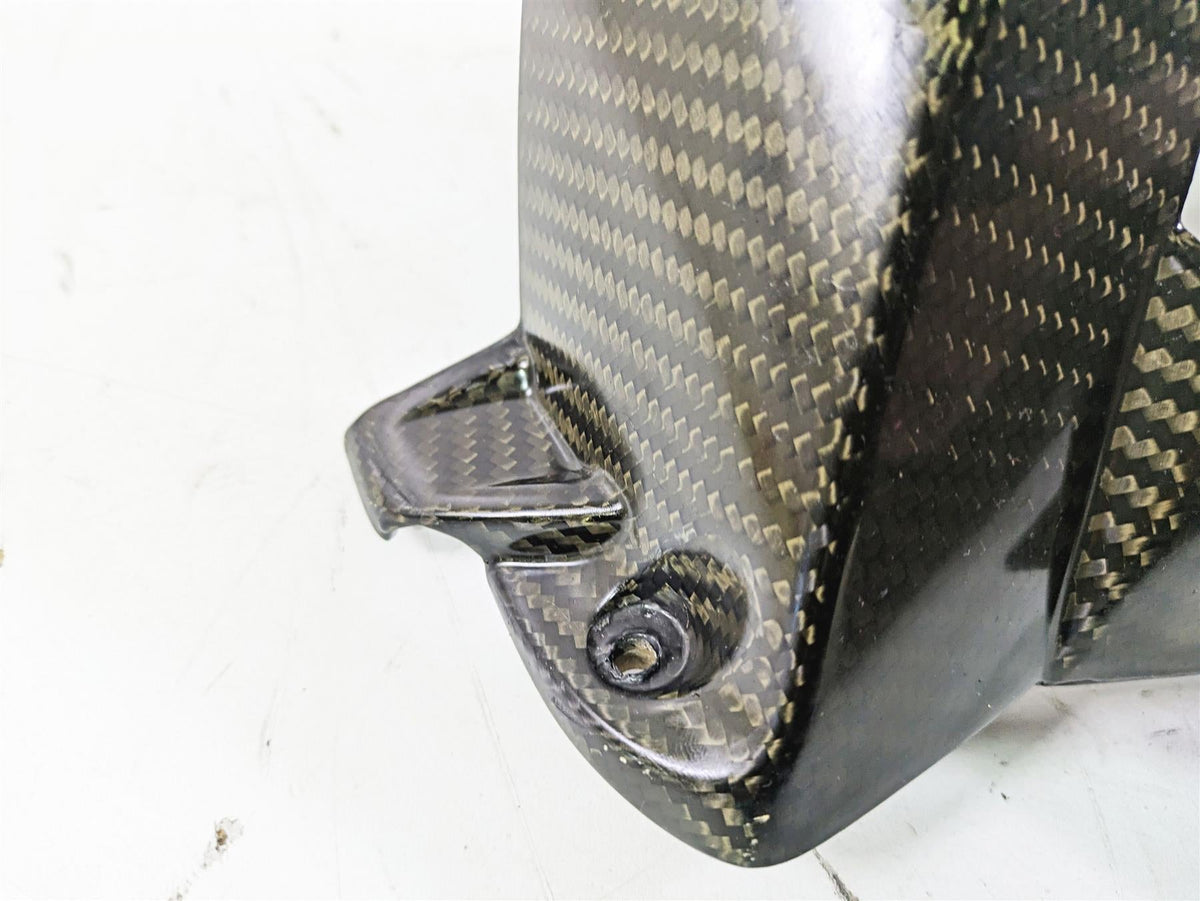 2017 BMW S1000RR K46 Carbon Fiber Rear Fender Guard {{ shop.shopifyCountryName }} - Mototech271