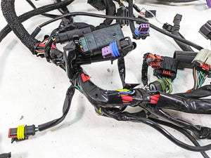 2017 Harley XL883 N Sportster Iron Wiring Harness Loom - No Abs & Key 69200072B