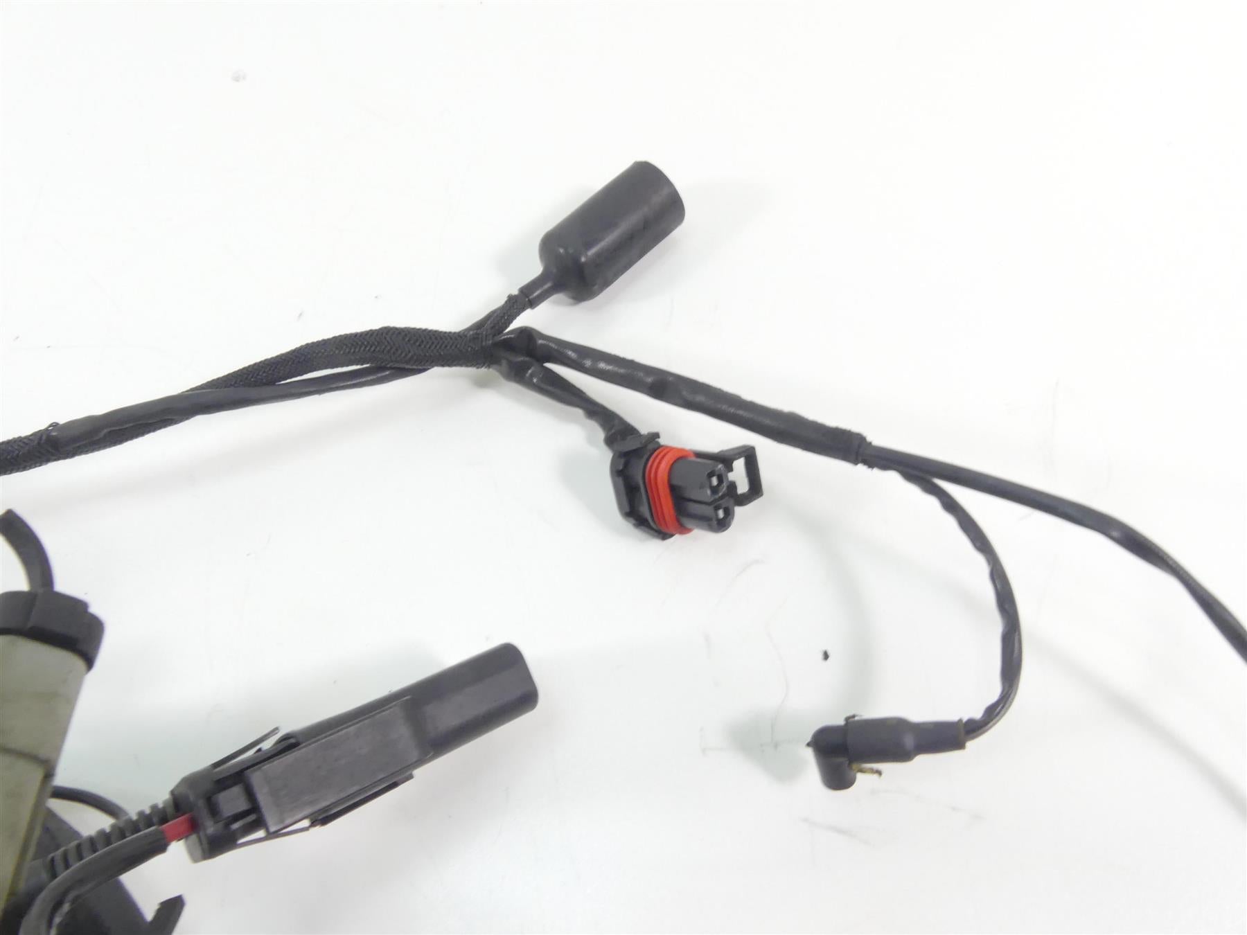 2006 Harley Sportster XL1200 Custom Main Wiring Harness Loom - Read 70139-06 {{ shop.shopifyCountryName }} - Mototech271