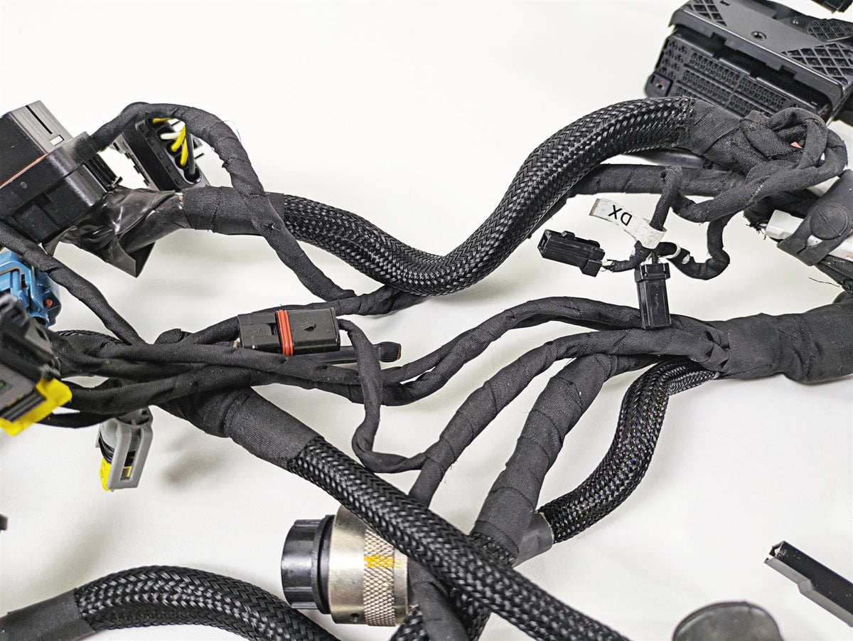 2022 Ducati Streetfighter V2 Wiring Harness Loom - No Cuts 5101L011E {{ shop.shopifyCountryName }} - Mototech271