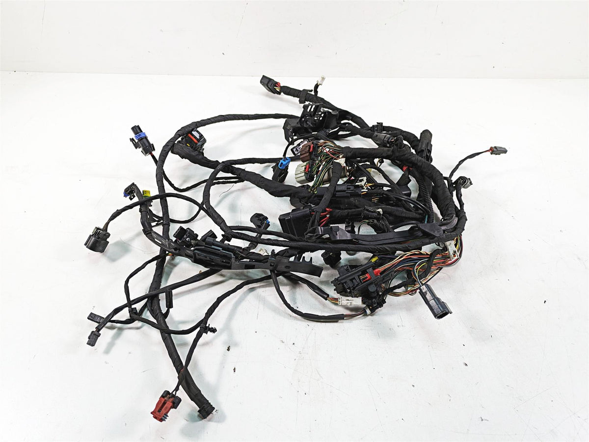 2020 Harley Softail FXBB Street Bob Main Wiring Harness No Abs - Read 69201492 {{ shop.shopifyCountryName }} - Mototech271