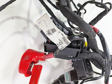 2015 Ducati Scrambler Urban Enduro Main Wiring Harness Loom - Read 51019821F-Mototech271