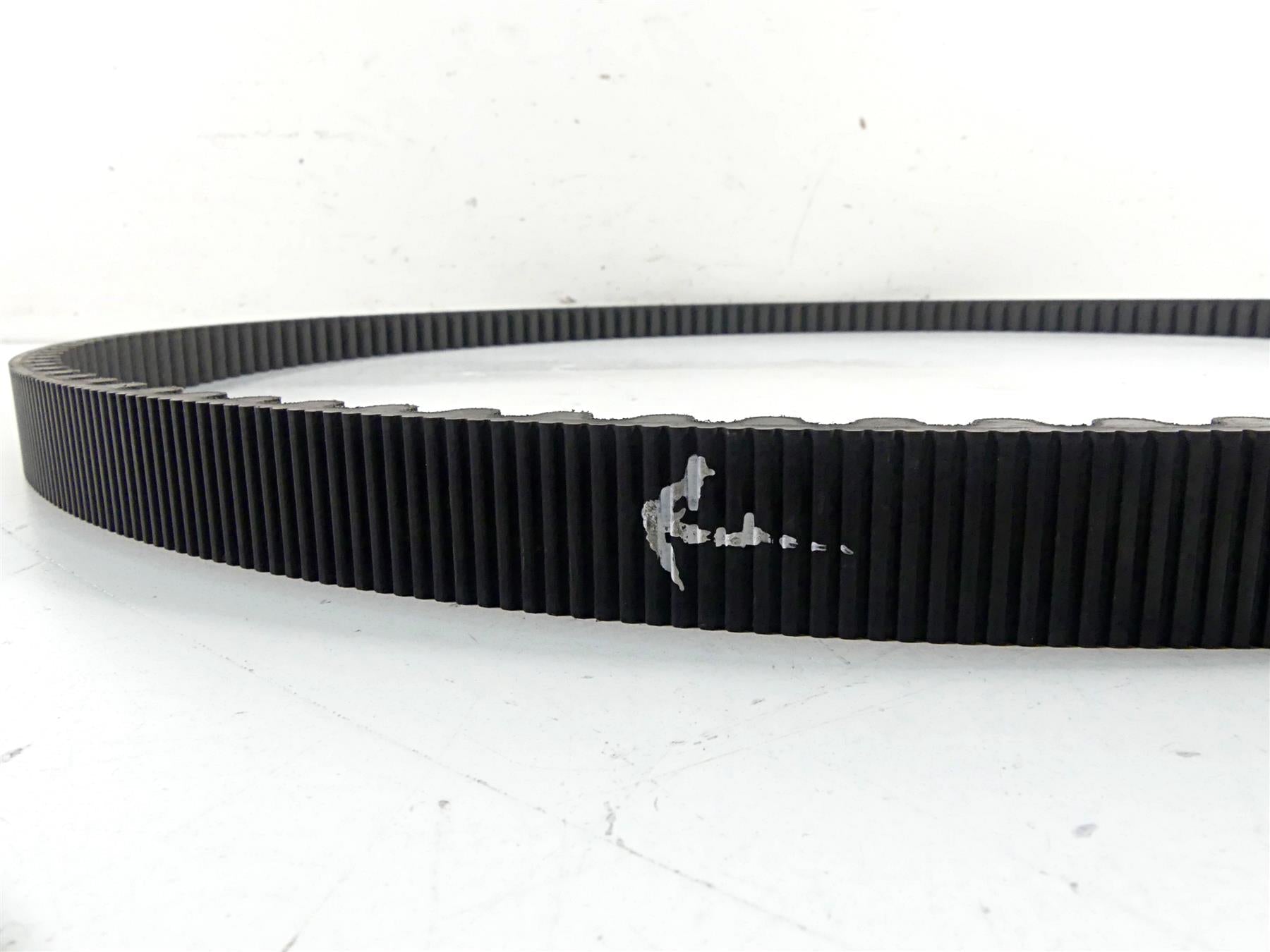 2015 Harley Davidson VRSCDX Night Rod Sp Rear Drive Belt 151T 40144-07 {{ shop.shopifyCountryName }} - Mototech271