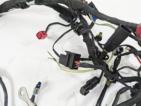 2022 Harley RA1250 S Pan America Wiring Harness Loom - For Parts 69202185 {{ shop.shopifyCountryName }} - Mototech271