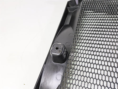 2017 BMW F800GS Adv K75 Radiator Cover Guard Grill Fairing 46638530525 {{ shop.shopifyCountryName }} - Mototech271