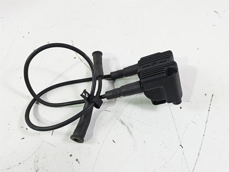 2003 Harley Touring FLHTCUI E-Glide 100th Ignition Coil Wires Plugs 31743-01 {{ shop.shopifyCountryName }} - Mototech271