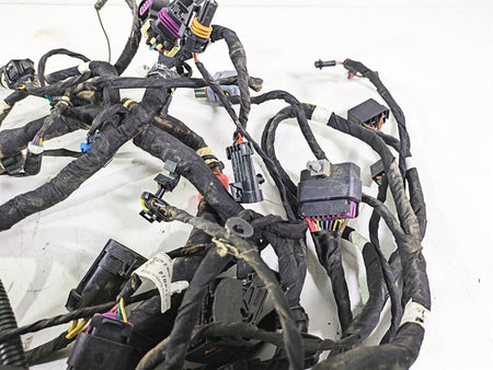 2020 Polaris General 1000 EPS Main Wiring Harness Loom 2414814 {{ shop.shopifyCountryName }} - Mototech271