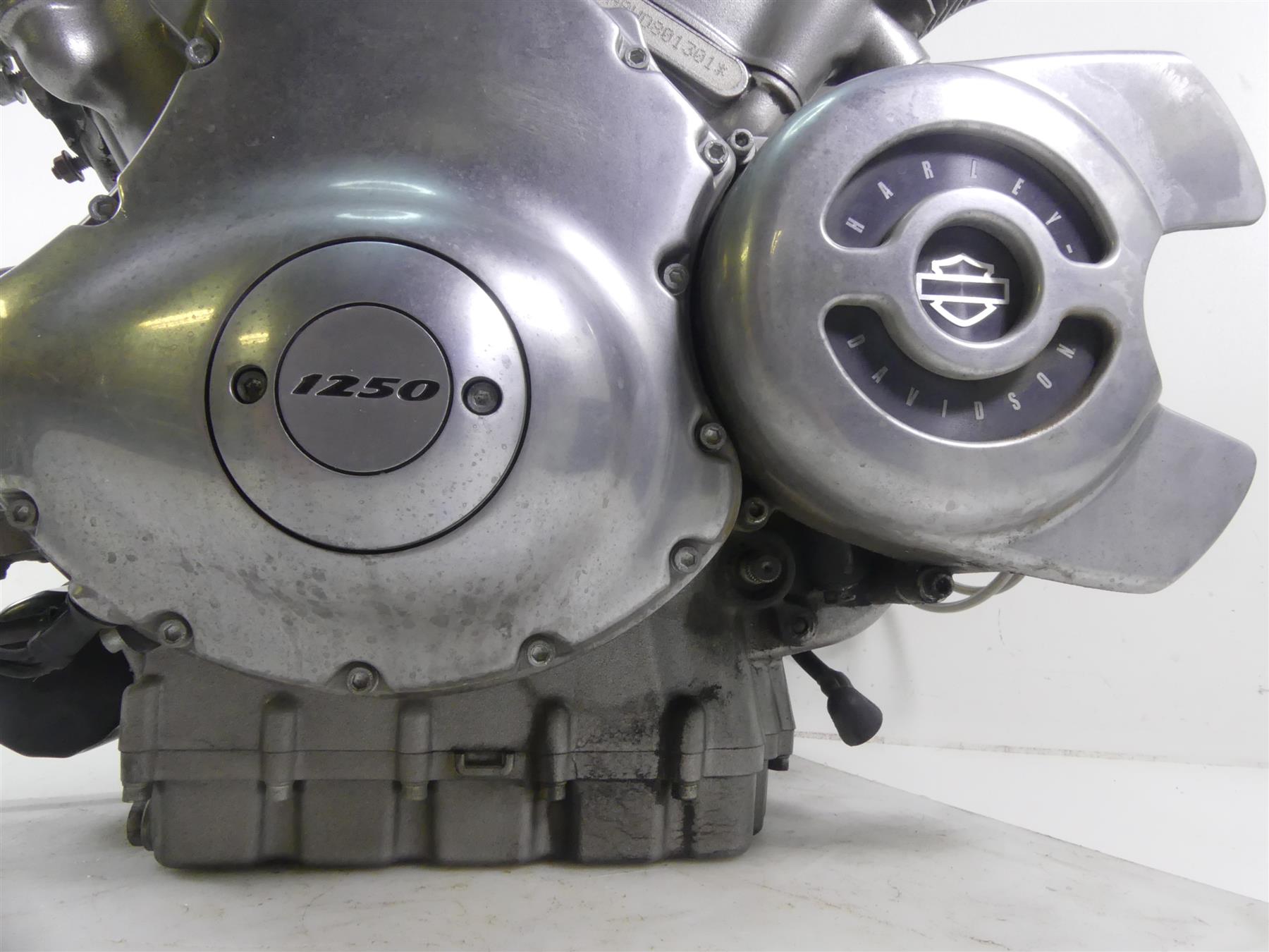 2013 Harley VRSCF Muscle V-Rod Running 1250ccm Engine Motor 15K -Video 19974-17K {{ shop.shopifyCountryName }} - Mototech271