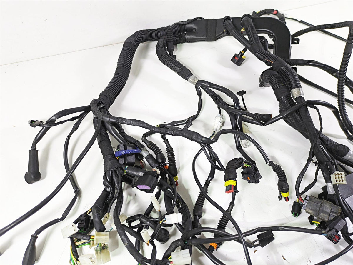 2014 Moto Guzzi California 1400 Touring Wiring Harness Loom -No Cuts 2D000190 {{ shop.shopifyCountryName }} - Mototech271