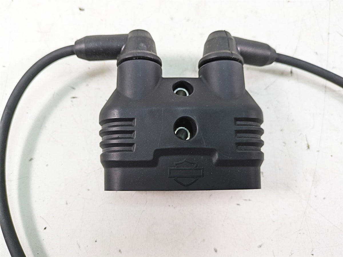 2022 Harley RA1250 S Pan America Ignition Coils Wiring Plug Set 31600166 {{ shop.shopifyCountryName }} - Mototech271