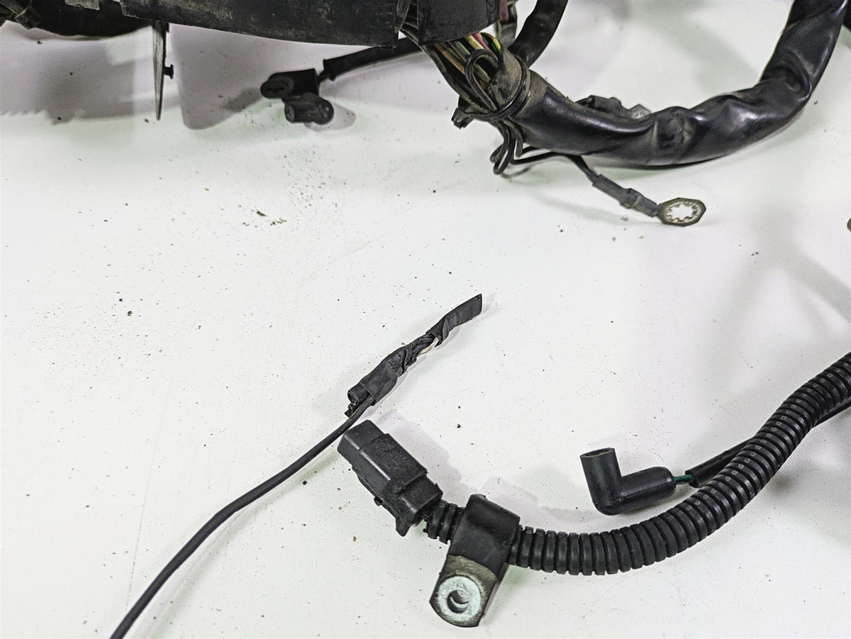 2004 Harley Softail FXSTDI Deuce Wiring Harness Loom EFI - Read 70431-04 {{ shop.shopifyCountryName }} - Mototech271