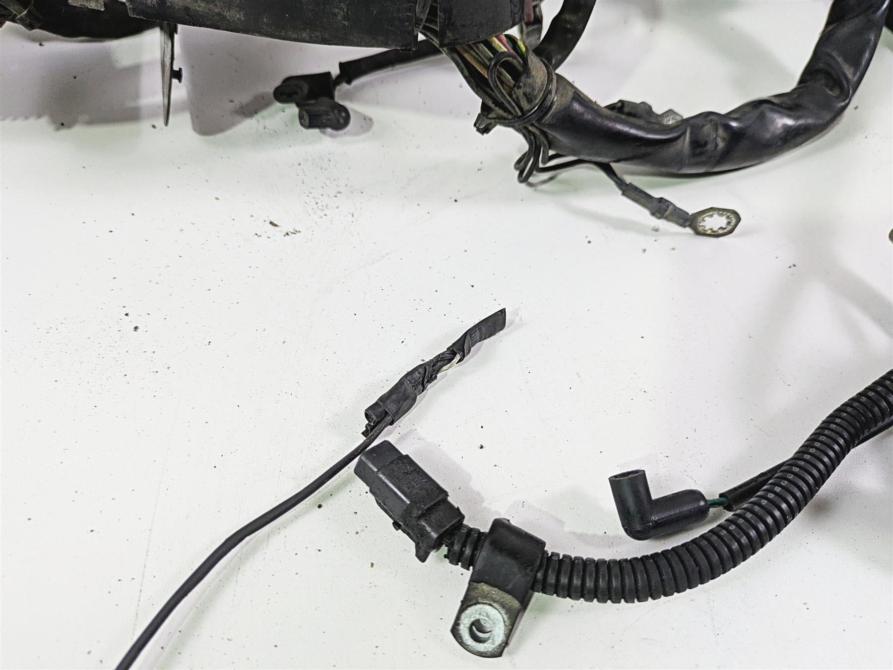 2004 Harley Softail FXSTDI Deuce Wiring Harness Loom EFI - Read 70431-04 {{ shop.shopifyCountryName }} - Mototech271