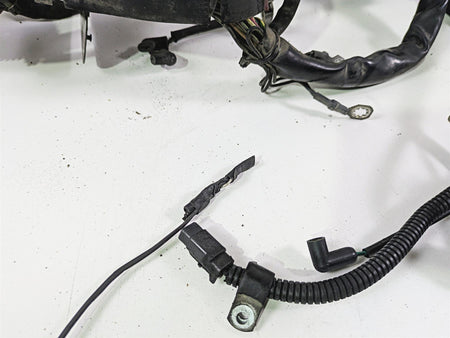 2004 Harley Softail FXSTDI Deuce Wiring Harness Loom EFI - Read 70431-04 {{ shop.shopifyCountryName }} - Mototech271