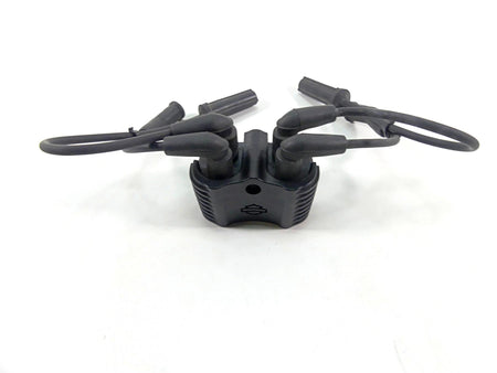 2020 Harley Softail FXST Standard Ignition Coil Wires Plugs Set 31600067 {{ shop.shopifyCountryName }} - Mototech271