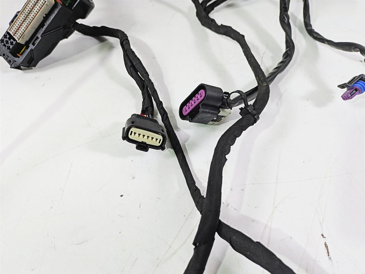 2022 Harley FXLRS Softail Low Rider Engine Wiring Harness Loom 69202199 {{ shop.shopifyCountryName }} - Mototech271