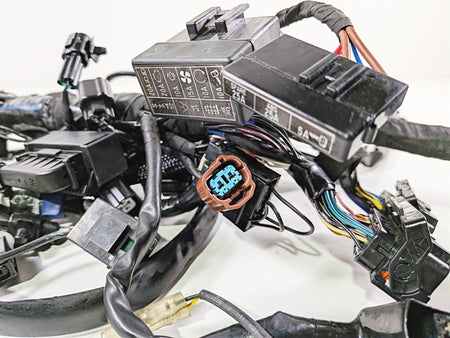 2019 Triumph Speed Triple RS 1050 Wiring Harness Loom - No Cuts T2502526 {{ shop.shopifyCountryName }} - Mototech271