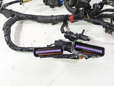 2012 Triumph Daytona 675 Main Wiring Harness Loom - For Parts T2501679 {{ shop.shopifyCountryName }} - Mototech271