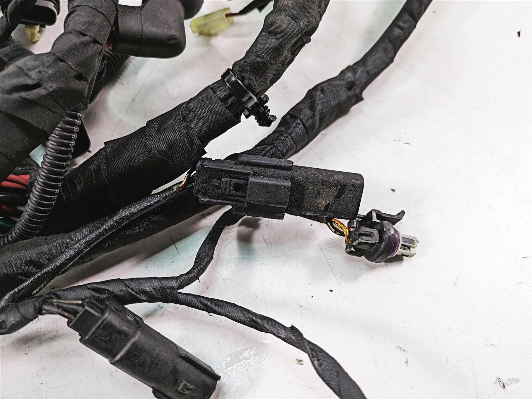 2020 Harley Softail FXBB Street Bob Main Wiring Harness No Abs - Read 69201492 {{ shop.shopifyCountryName }} - Mototech271