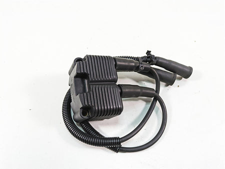2006 Harley Sportster XL1200 Delphi Ignition Coil Wires & Plugs 31655-99 {{ shop.shopifyCountryName }} - Mototech271